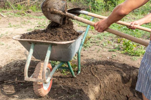istock Workers pour earth from the pit in a wheelbarrow 1017279008