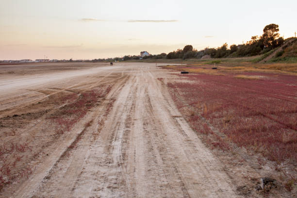 istock Drying up estuary with healing mud and red algae at sunset 1017293470