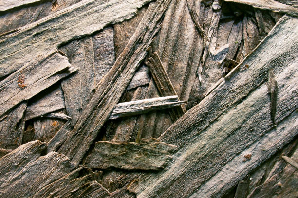 Wood Textured stock photo