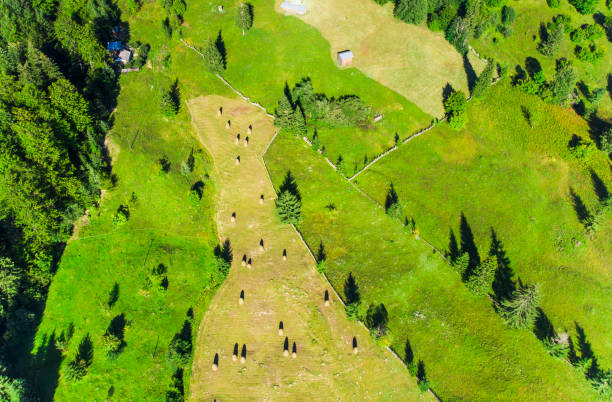 aerial view of hay stacks in romania - romanian hay imagens e fotografias de stock