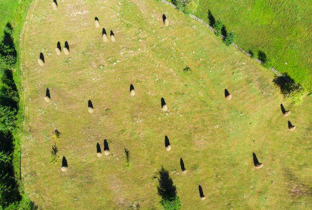 aerial view of hay stacks in romania - romanian hay imagens e fotografias de stock