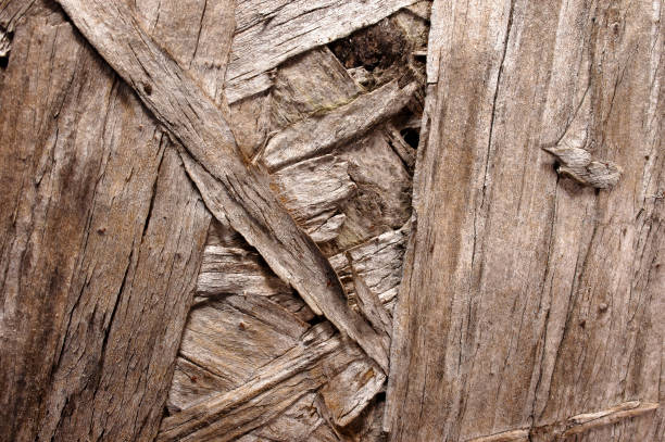 Old Wood Close up stock photo