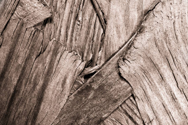 Close up of Wood stock photo