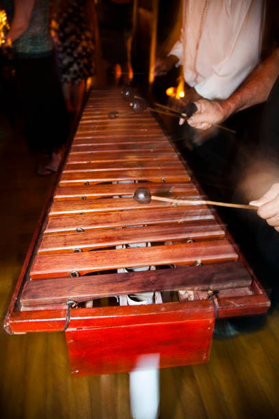 istock Costa Rican musicians play at a party 1017306176