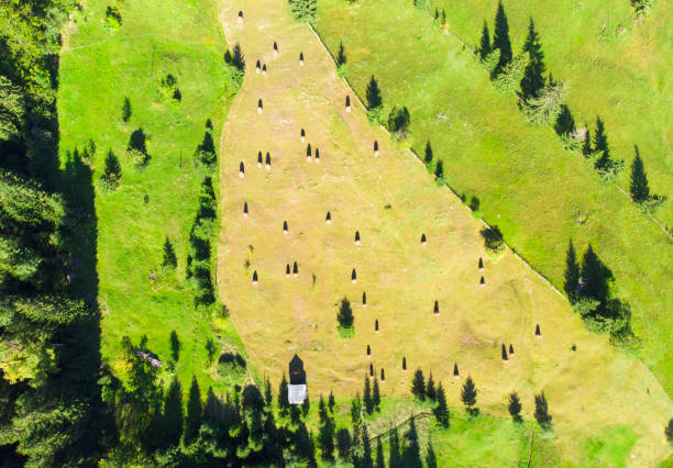 aerial view of hay stacks in romania - romanian hay imagens e fotografias de stock