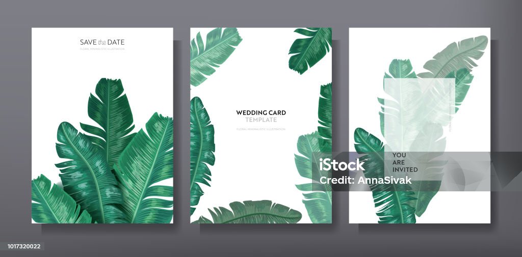Tropical trendy greeting or invitation card template design, set of poster, flyer, brochure, cover, party advertisement, dark green palm leaves in vector Tropical Climate stock vector