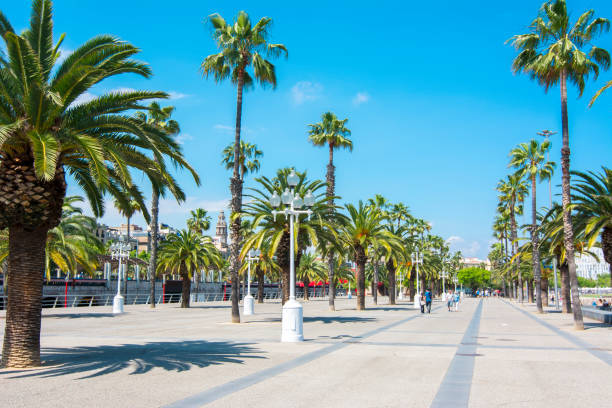 istock Barcelona promenade, Spain 1017320106