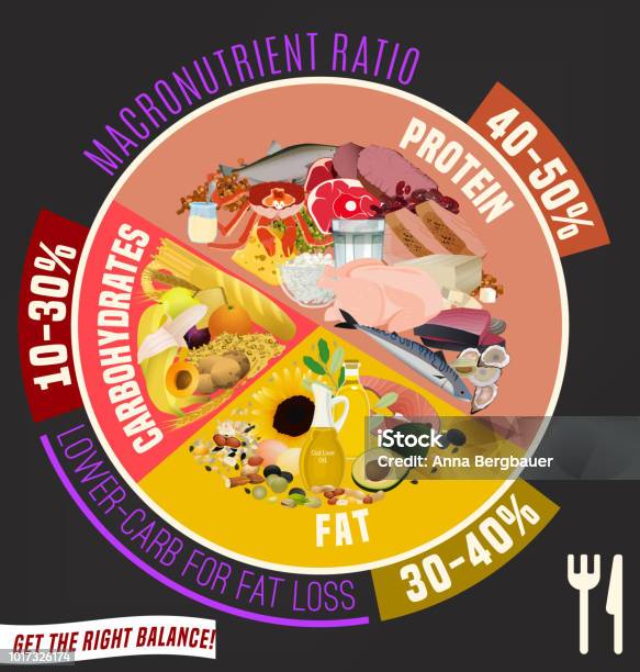 Healthy Eating Plate Stock Illustration - Download Image Now - Advice, Carbohydrate - Food Type, Chart