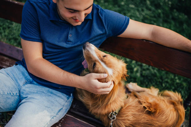 istock Guy and his dog, golden retriever, nature 1017326364