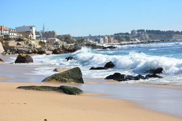 istock landscape of beach and wave 1017328504