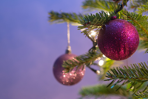 Closeup of Christmas ornaments on real Christmas tree and purple background