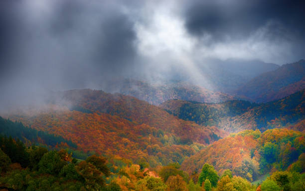 istock Beautiful view of colorful trees and cloudy sky 1017338742