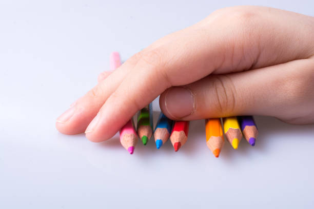 istock Color Pencils on a white background 1017343504
