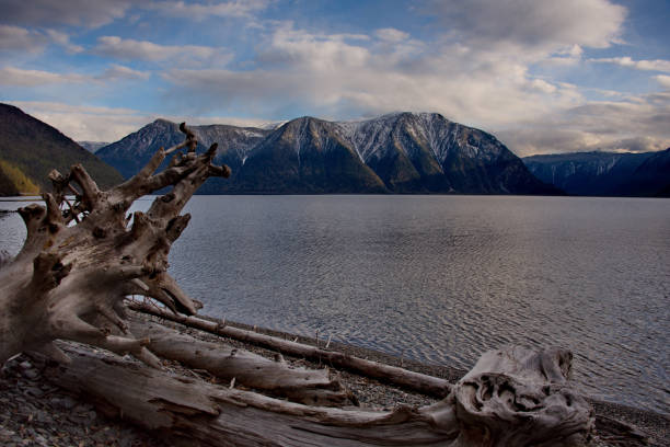 istock Late spring on the shore of lake Teletskoye. 1017352566