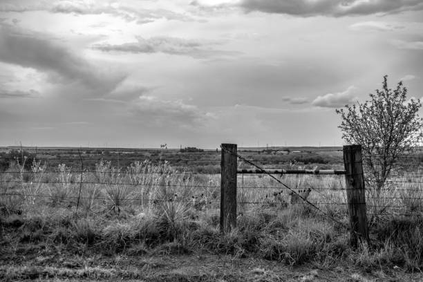 istock wire fence and post with sky Texas monochrome 1017374830
