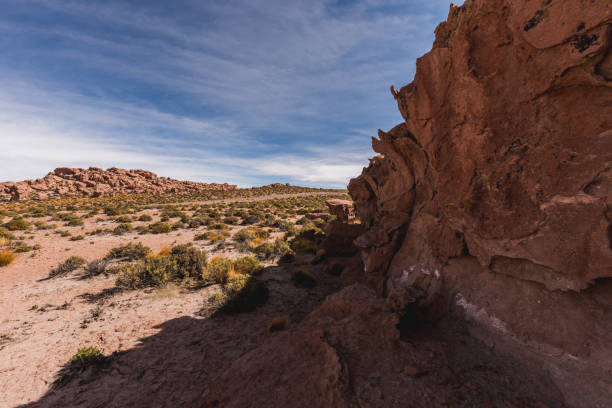 istock San Pedro de atacama Chile and geysers 1017375406