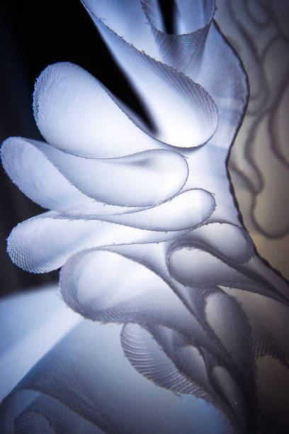 istock Grace in Folds III 1017375572