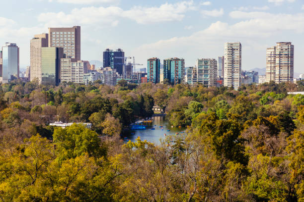 istock Skyline of Mexico City and Lake Chapultepec 1017384740