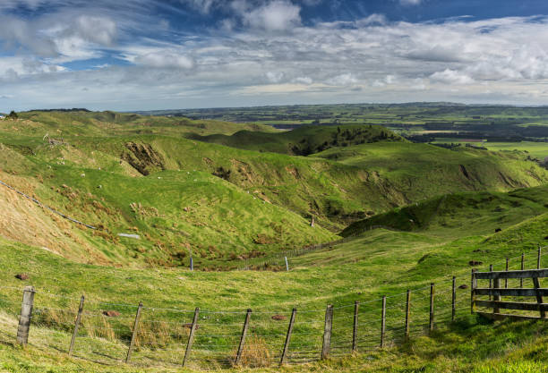 istock Green rolling agricultural grazing country 1017384828
