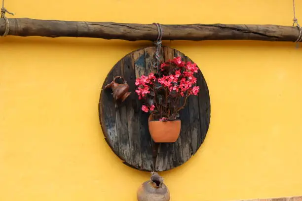 Pink flower arrangement on yellow wall