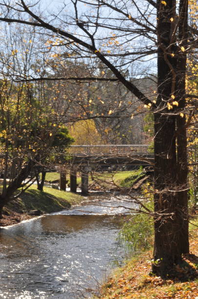 istock Local Creek, Bright, Victoria 1017395582