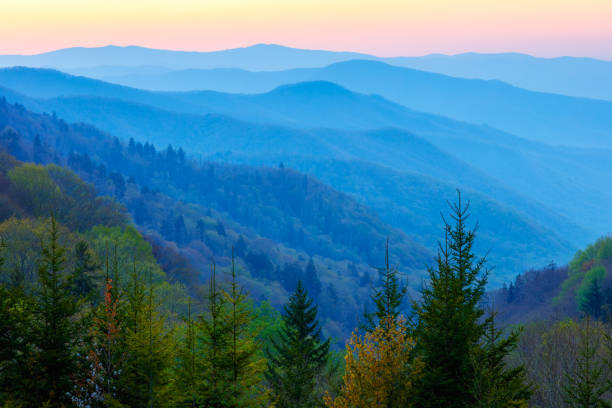 istock Misty Rolling Mountain Range Just Before Sunrise at Great Smoky Mountains National Park 1017415898