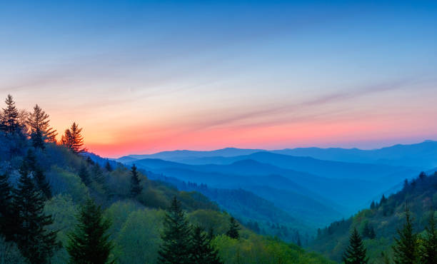 Misty Rolling Mountain Range Just Before Sunrise at Great Smoky Mountains National Park Sunrise at Oconoluftee Valley Overlook, Great Smoky Mountains National Park, North Carolina appalachian mountains photos stock pictures, royalty-free photos & images