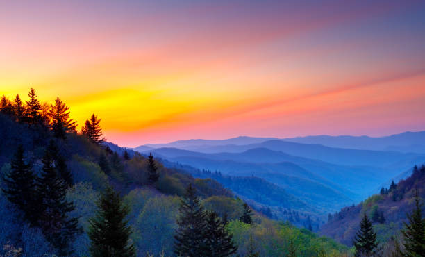 istock Misty Rolling Mountain Range Just Before Sunrise at Great Smoky Mountains National Park 1017418602