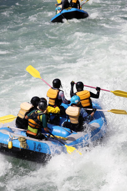 white water rafting on the rapids of river - team sport rafting white water rafting rapid imagens e fotografias de stock