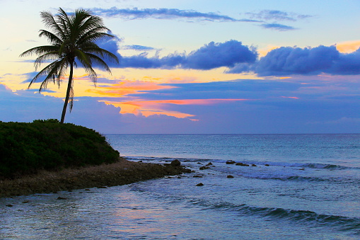 Idyllic Beach at gold colored sunset - Montego Bay - Jamaica, Caribbean sea
