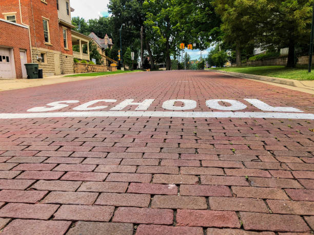 Brick Road School Zone Sign