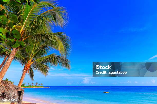 Beach And Rustic Thatched Roof Palapa Montego Bay Jamaica Caribbean Sea Stock Photo - Download Image Now