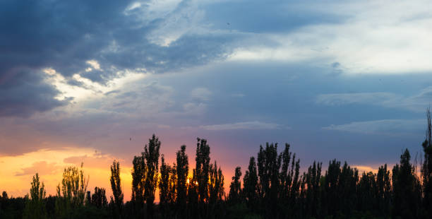Landscape with dramatic light - beautiful golden sunset with saturated sky and clouds, peaceful nature serene background.