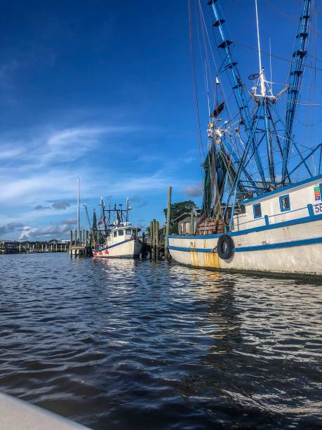 shrimp boats in the bayou stock photo