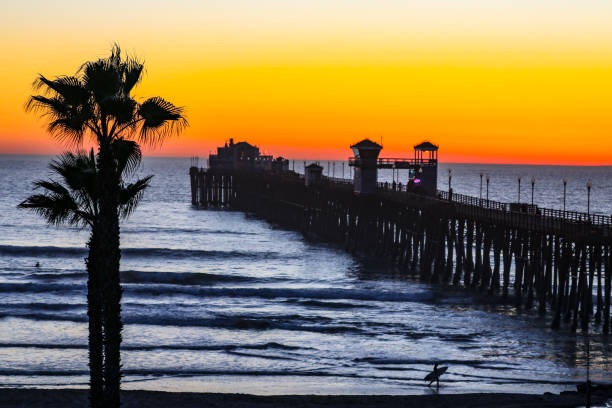 Tropical Oceanside Sunset Silhouette stock photo