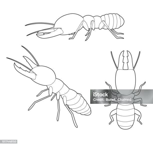 Termite Coluring In Insect Set Termite Cartoon Vector Coloring Book Stock Illustration ...