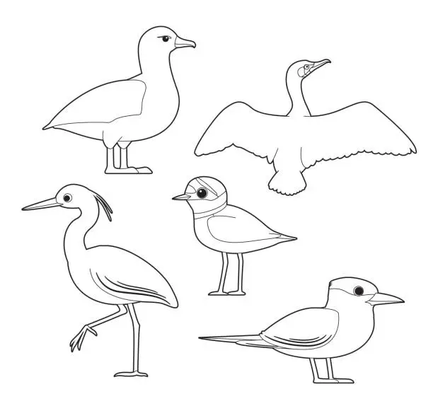 Vector illustration of African Bird Coloring Book Albatross Cormorant Egret Plover Tern Cartoon Vector Set