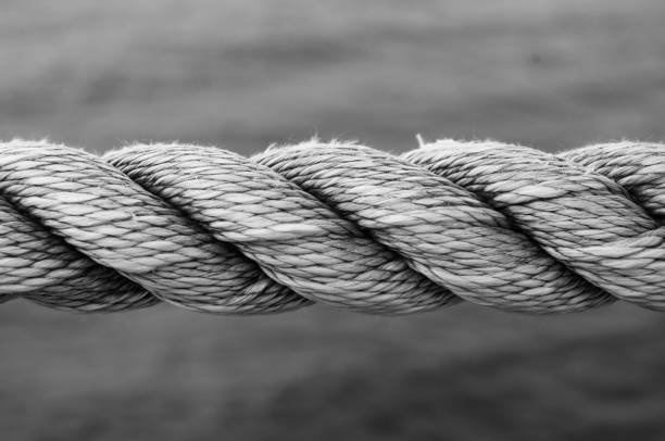 istock old marine rope on the pebble beach 1017453106
