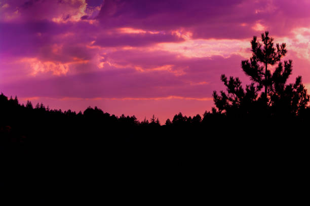 istock Sunset sky clouds over the hillside silhouette 1017453262