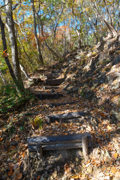 istock The mountain trail of autumn 1017460264