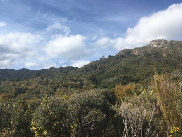 istock New Zealand Adventure 1017471058