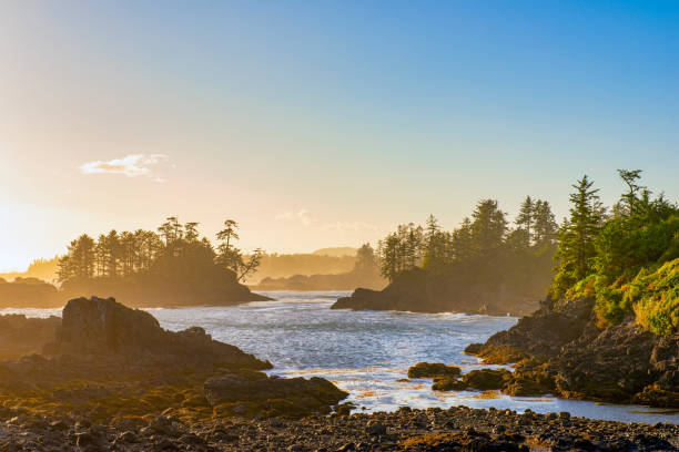 Shoreline at wild pacific trail in Ucluelet, Vancouver Island, BC stock photo