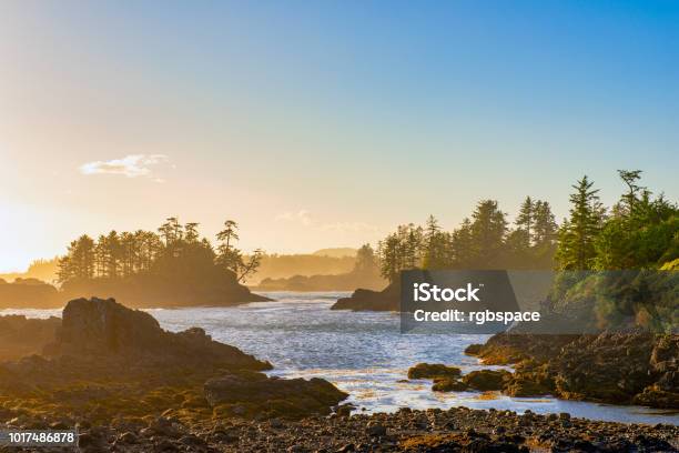 Shoreline At Wild Pacific Trail In Ucluelet Vancouver Island Bc Stock Photo - Download Image Now