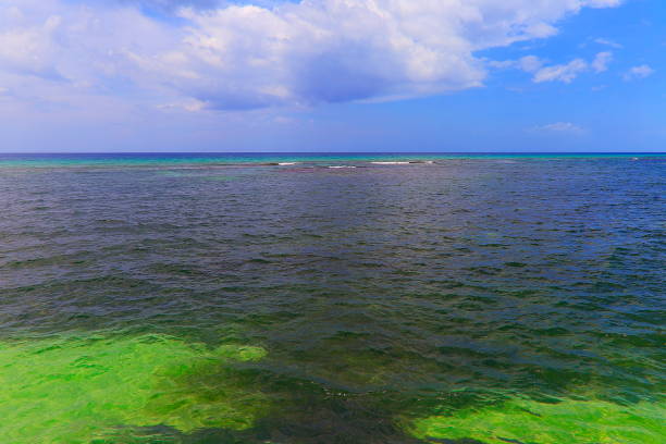 Emerald Beach with clouds on horizon - Negril - Jamaica, Caribbean sea