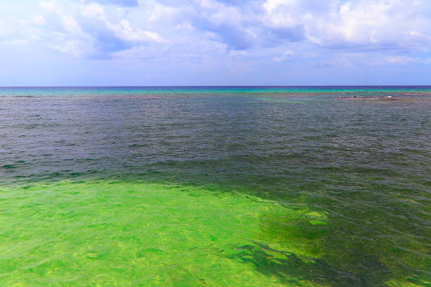 Emerald Beach with clouds on horizon - Negril - Jamaica, Caribbean sea