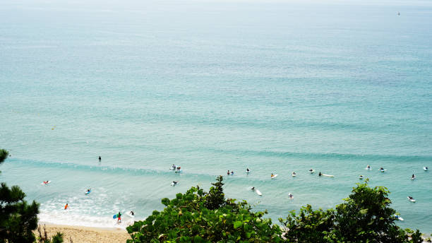 istock Jeju Island Summer Beach 1017517404