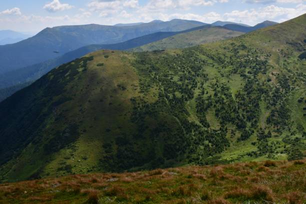 istock the top of Carpathian Mountains 1017519790