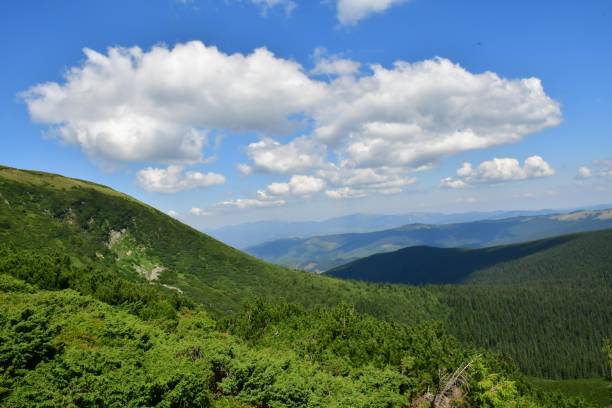 istock the top of Carpathian Mountains 1017519802