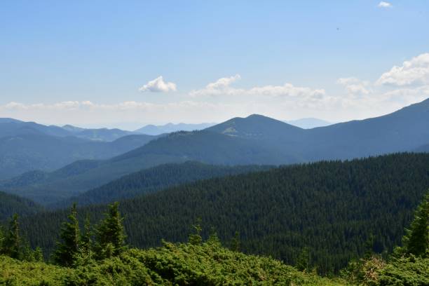 istock the top of Carpathian Mountains 1017519818