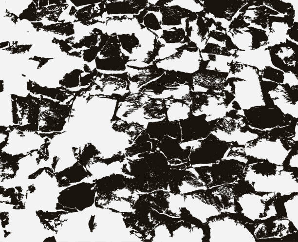 istock Grunge background. Texture with the effect of noise and grain. Vector illustration for a design surface. 1017523950